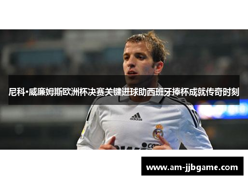 尼科·威廉姆斯欧洲杯决赛关键进球助西班牙捧杯成就传奇时刻 尼科·威廉姆斯欧洲杯决赛关键进球助西班牙捧杯成就传奇时刻